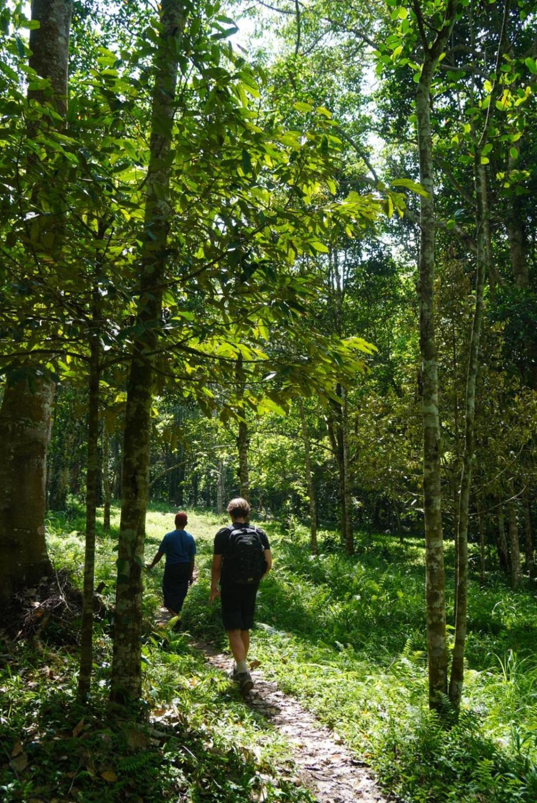 Tetebatu Indah Homestay Εξωτερικό φωτογραφία
