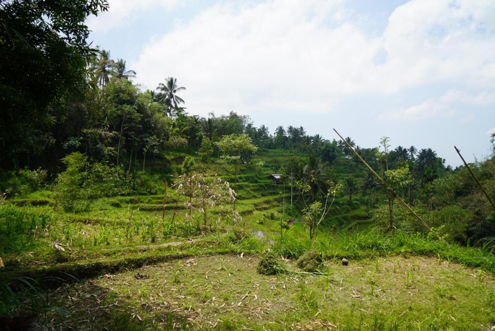 Tetebatu Indah Homestay Δωμάτιο φωτογραφία