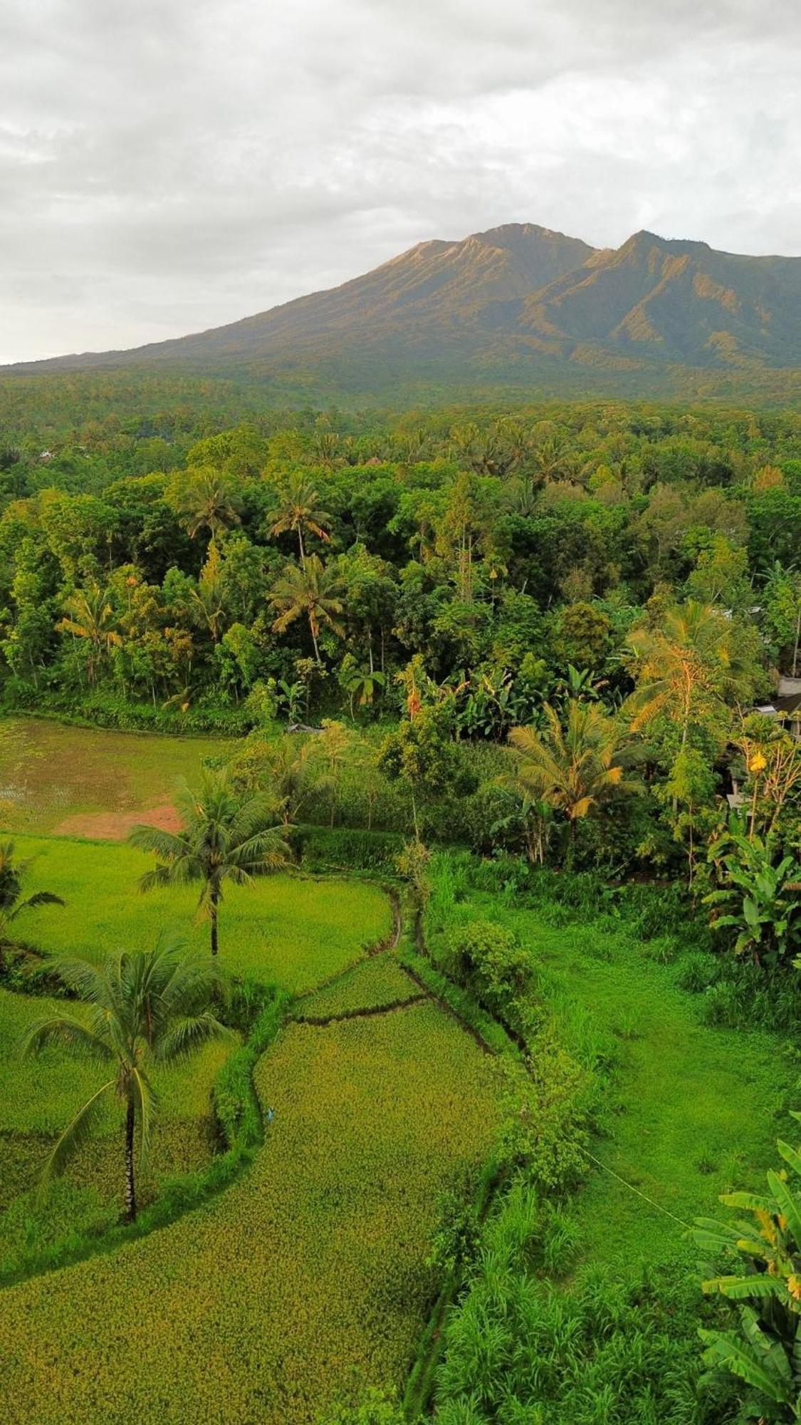 Tetebatu Indah Homestay Εξωτερικό φωτογραφία