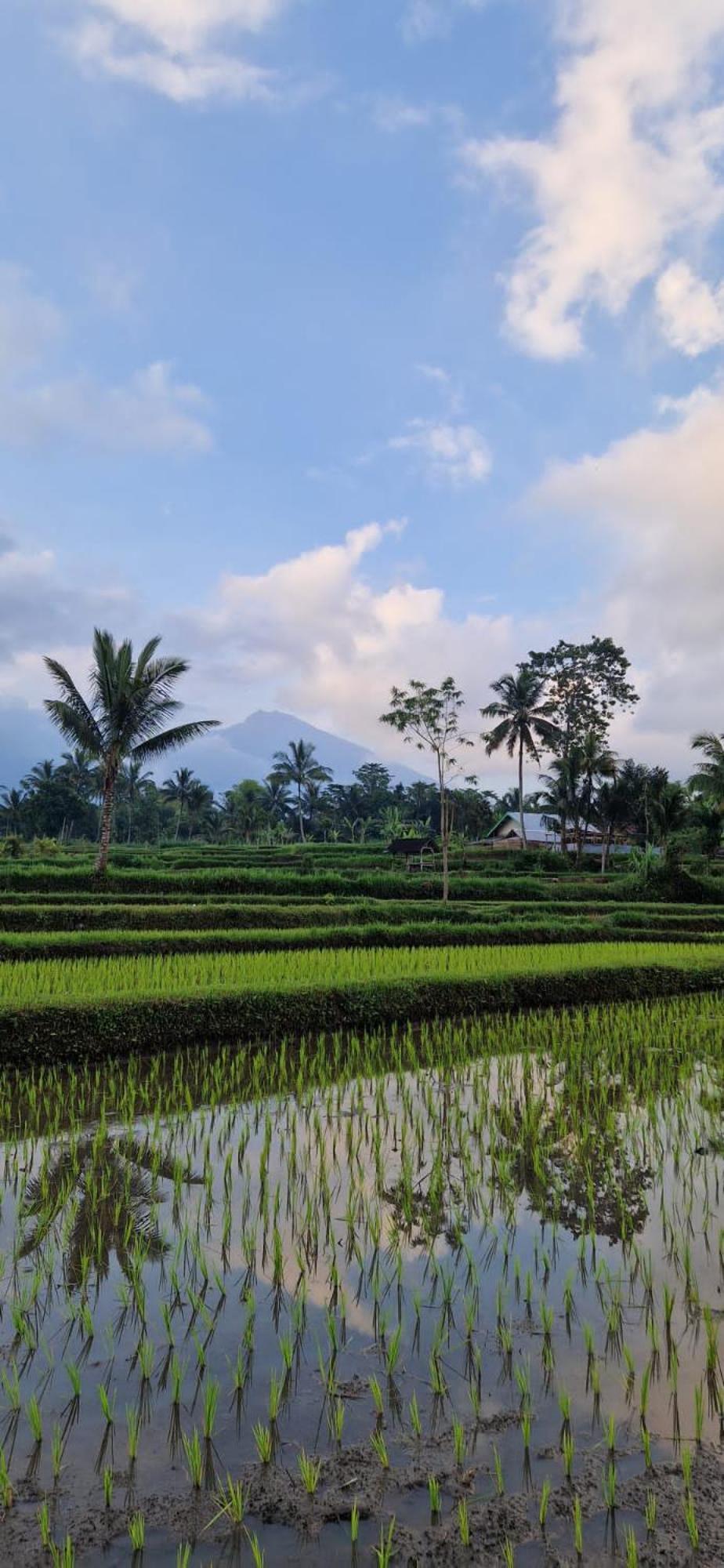 Tetebatu Indah Homestay Εξωτερικό φωτογραφία