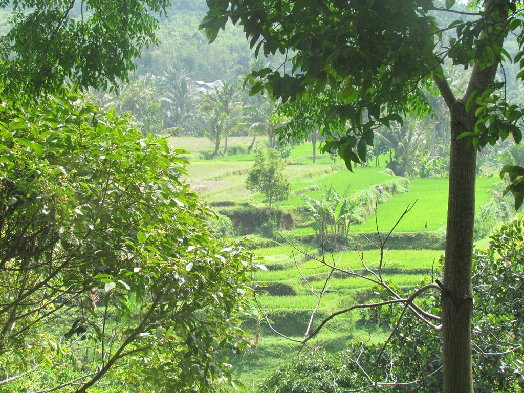 Tetebatu Indah Homestay Εξωτερικό φωτογραφία