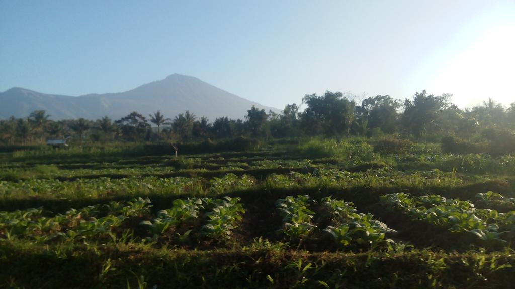 Tetebatu Indah Homestay Εξωτερικό φωτογραφία