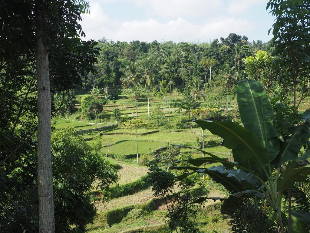 Tetebatu Indah Homestay Εξωτερικό φωτογραφία