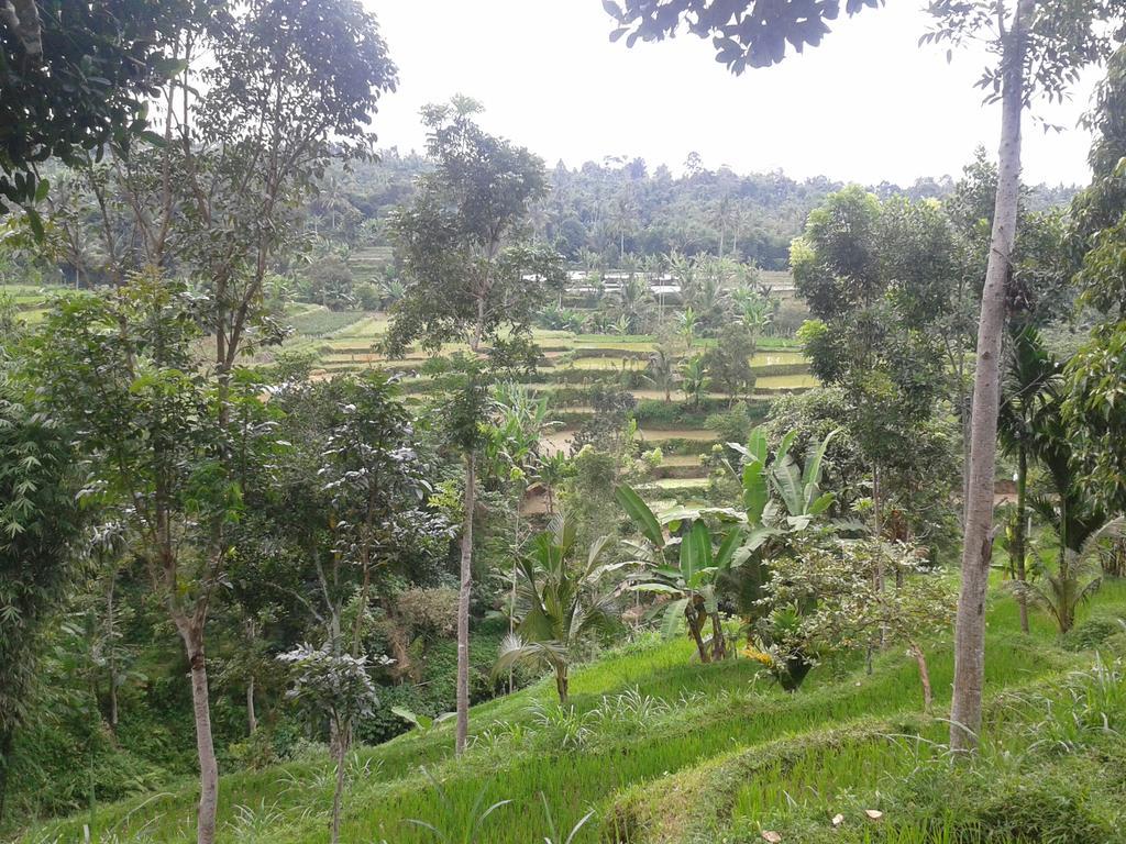Tetebatu Indah Homestay Εξωτερικό φωτογραφία