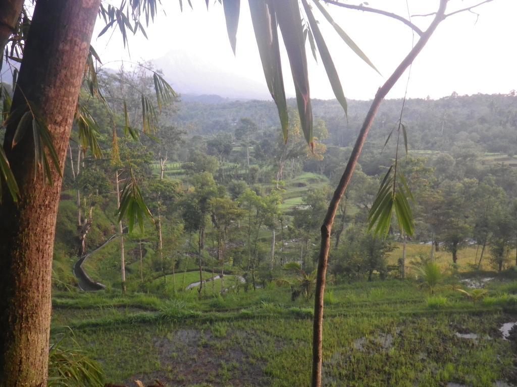 Tetebatu Indah Homestay Εξωτερικό φωτογραφία